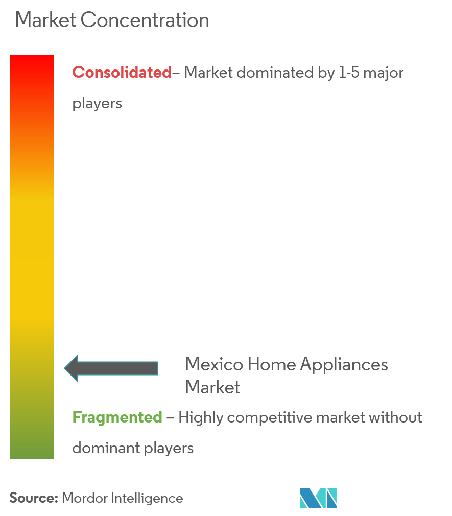 Mexico Home Appliances Market Concentration